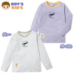 【送料無料】男児 キッズ 本体綿100％ 長袖 Tシャツ 恐竜プリント バックプリント ワッペン 子供服 男の子 100cm 110cm 120cm 130cm nw-1