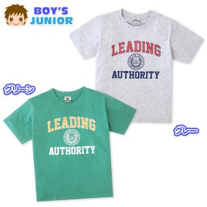 【送料無料】男児 ジュニア 半袖 Tシャツ 綿混 プリント 子供服 男の子 140cm 150cm 160cm nw-0280【メール便対応】