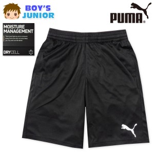 【送料無料】男児 ジュニア 吸水速乾 ショートパンツ PUMA インターロックショーツ 薄手 ボトムス td-0489b-bk【メール便対応】