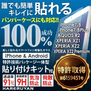 失敗しないガラスフィルム 貼りつけキット付き 液晶保護 iPhone SE 第3世代 フィルム 第2世代 指紋防止 気泡防止 飛散防止 ハレルヤン