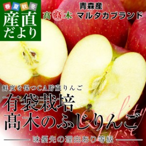 青森県より産地直送 高木商店 マルタカブランド 高木のふじりんご CA貯蔵品 味優先の理由あり 約3キロ (9玉から13玉) 送料無料 林檎 リン