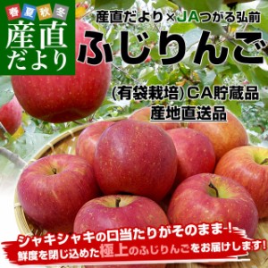 青森県より産地直送 JAつがる弘前 ふじ (有袋栽培) CA貯蔵品 約3キロ (9から13玉) 送料無料 りんご リンゴ 林檎