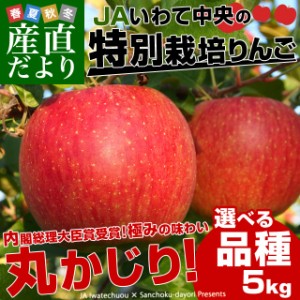岩手県より産地直送 JAいわて中央 品種が選べる 皮ごとまるごと！特別栽培りんご 約5キロ (14玉から25玉) 林檎 リンゴ 送料無料
