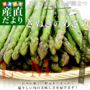 香川県より産地直送 JA香川県アスパラ さぬきのめざめ LからＭサイズ 約1キロ (50本から90本前後)  送料無料 丸亀市他 アスパラガス