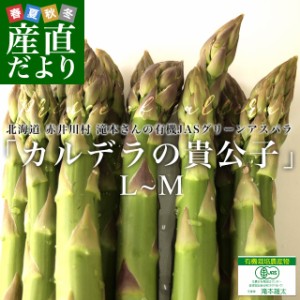 北海道より産地直送 赤井川村滝本農場の有機JASグリーンアスパラ「カルデラの貴公子」 LからMサイズ 約500g入り 送料無料 アスパラガス 