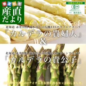 北海道より産地直送 赤井川村滝本農場 有機JAS栽培アスパラ 貴婦人と貴公子のセット  (ホワイト2LからＬ約500g×グリーンLからM約500g)  