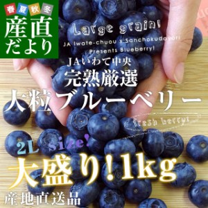 岩手県より産地直送 JAいわて中央 ブルーベリー 大粒 2Lサイズ 500g×2箱 送料無料 ぶるーべりー ※クール便