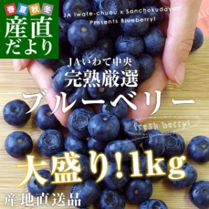 岩手県より産地直送 JAいわて中央 ブルーベリー Lサイズ 約500g×2箱 送料無料 ぶるーべりー ※クール便