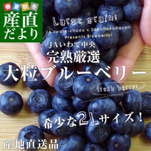 岩手県より産地直送 JAいわて中央 ブルーベリー 大粒 2Lサイズ750g（150g×5P） 送料無料 ぶるーべりー ※クール