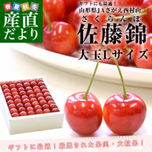 山形県から産地直送　JAさがえ西村山「さくらんぼ佐藤錦」 ギフト用大玉Lサイズ　500g　化粧箱　サクランボ　桜桃　佐藤錦　ギフト　お中