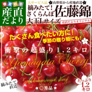 山形県より産地直送 さくらんぼ佐藤錦 大粒Lサイズ　たっぷり1.2キロ (約300g×4P入) 送料無料 クール便　サクランボ　桜桃