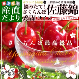 山形県より産地直送 さくらんぼ佐藤錦 大粒Lサイズ　秀品1キロ (500g×2P入) 送料無料 クール便　サクランボ　桜桃