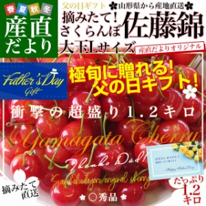 父の日ギフト 山形県より産地直送 さくらんぼ佐藤錦 大粒Lサイズ　たっぷり1.2キロ (約300g×4P入) 送料無料 送料無料 父の日プレゼント