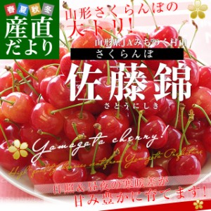 山形県産 JAみちのく村山 さくらんぼ 佐藤錦 マル秀品 Mサイズ以上 合計約400g（約200g×2パック） 送料無料 クール便 サクランボ 桜桃