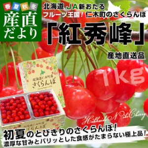 北海道から産地直送 JA新おたる 仁木町のさくらんぼ（紅秀峰） 秀品 2Lサイズ 1キロ（500g×2パック入）送料無料 サクランボ ※クール便