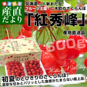 北海道から産地直送 JA新おたる 仁木町のさくらんぼ（紅秀峰） 秀品 2Lサイズ 600g（300g×2パック入） 送料無料 サクランボ ※クール便