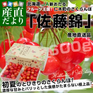 北海道から産地直送 JA新おたる 仁木町のさくらんぼ（佐藤錦） 秀品 Lサイズ 600g（300g×2パック入） 送料無料 サクランボ ※クール便