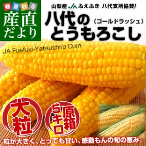 山梨県より産地直送　JAふえふき八代支所 とうもろこし(ゴールドラッシュ) 2LからLサイズ 約5キロ (12本から15本) 送料無料 とうきび ※