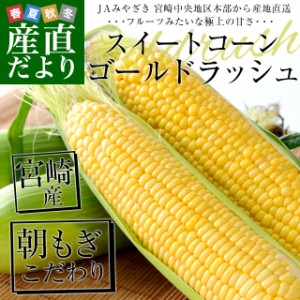 宮崎県より産地直送 JAみやざき 宮崎中央地区本部 とうもろこし (ゴールドラッシュ) 2LからＬサイズ 4.5キロ (13本から15本) 送料無料 と