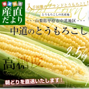 山梨県より産地直送　JAふえふき中道北支所　選べるとうもろこし(ゴールドラッシュ、きみひめ) 約2.5キロ2Lサイズ(6本入)　送料無料　ク