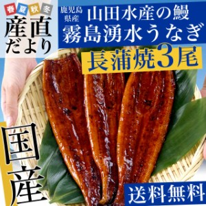 鹿児島県志布志産 山田水産 霧島湧水うなぎ 長蒲焼き 大サイズ3尾セット（140g前後×3尾）送料無料 鰻師　化粧箱対応  ギフト ギフト