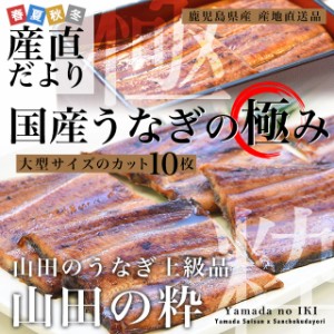 うなぎ 蒲焼き 国産 安いの通販｜au PAY マーケット