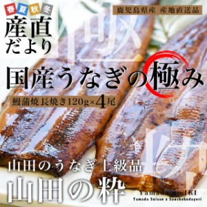 鹿児島県産 山田水産の極上国産うなぎ蒲焼「山田の粋（やまだのいき）」長焼（120g×4尾）送料無料 鰻蒲焼 ウナギ ※クール冷凍便  お中