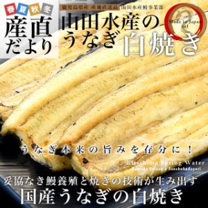 鹿児島県志布志産 山田水産のうなぎ 白焼き 160g前後×3尾詰め（柚子こしょう付き）送料無料 鰻師 加藤尚武さん 鰻 ウナギ 白焼き クール