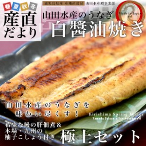 鹿児島県志布志産 山田のうなぎ白醤油焼きセット「白醤油焼き160g前後×3尾」＋「鰻の肝佃煮40g」＋「柚子こしょう3P」送料無料 鰻師 加