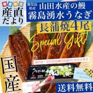 母の日ギフト 父の日ギフト 鹿児島県志布志産 山田水産 霧島湧水うなぎ 長蒲焼き 大サイズ4尾セット（140g前後×4尾）送料無料 鰻師 加藤