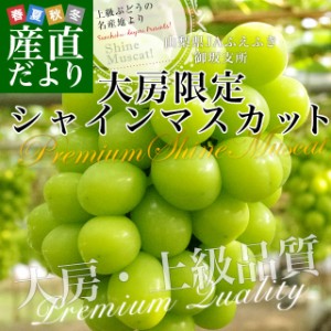 山梨県産　JAふえふき　御坂支所　シャインマスカット　大房限定　青秀品　約1.8キロ（3房入り）送料無料　クール便発送 葡萄 ぶどう