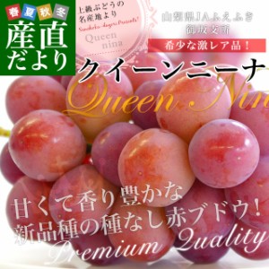 山梨県産 JAふえふき 御坂支所 クイーンニーナ 赤秀品以上 約1.5キロ（3房入り）送料無料　赤ぶどう 葡萄 種なしぶどう クール便 市場発