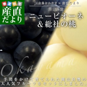 岡山県産 ハウス栽培ピオーネ(約600g×1房)&総社の桃(約300g×2玉)+選べるぬいぐるみのおまけ付き(1体) フルーツ詰め合わせ 送料無料