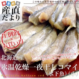 北海道産 コマイの氷温乾燥一夜干し　約600g (200g×3袋) 産直だより 北海道直送 氷下魚 生干し 送料無料