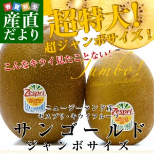 ニュージーランド産 ゼスプリ・サンゴールドキウイ「ジャンボサイズ」 約2.2キロ（12玉入り）送料無料 キウイフルーツ クール便