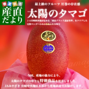 宮崎県より産地直送 JAみやざき 宮崎中央地区本部 完熟マンゴー 太陽のタマゴ２L×2玉 (350gから449g×2玉) 送料無料 宮崎マンゴー 太陽