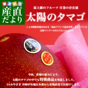 宮崎県より産地直送 JAみやざき 宮崎中央地区本部 太陽のタマゴ 最高級AA品 5Lサイズ (650g以上×1玉) 送料無料 マンゴー たいようのたま