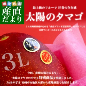 宮崎県より産地直送 JAみやざき 宮崎中央地区本部 太陽のタマゴ 最高級AA品 3L×2玉 (450gから509g×2玉) 送料無料 マンゴー たいようの