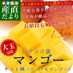 メキシコ産　アップルマンゴー（ケント種）約1.3キロ(3玉入り)　送料無料　クール便　まんごー　マンゴー　市場発送