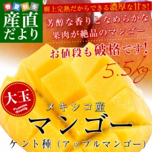 メキシコ産　アップルマンゴー（ケント種）約5.5キロ原体箱(12玉から14玉入り)　送料無料　クール便　まんごー　マンゴー　市場発送