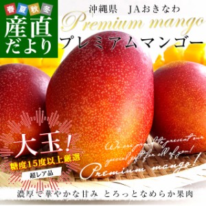 沖縄県より産地直送 JAおきなわ プレミアムマンゴー 赤秀品 大玉3Lから2Lサイズ 700g以上 (2玉入) 送料無料 沖縄マンゴー アップルマンゴ