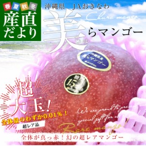 沖縄県より産地直送 JAおきなわ 美らマンゴー 最上級特A品 超大玉4Lから3Lサイズ 1キロ前後(2玉) 送料無料 沖縄マンゴー ちゅらマンゴー