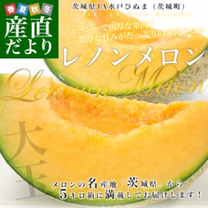 茨城県より産地直送 JA水戸ひぬま レノンメロン(赤肉) 4Lから3L 5キロ箱（3玉から4玉） 送料無料 赤肉メロン