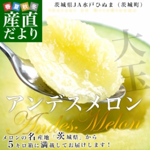 茨城県より産地直送 JA水戸ひぬま アンデスメロン 優品以上 4Lから3L 5キロ箱 (3玉から4玉) 送料無料 めろん