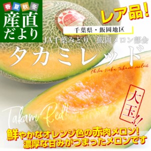 千葉県産 JAちばみどり飯岡メロン部会　タカミレッド （赤肉）４Lサイズ以上　秀品　約3キロ箱（2玉入り） 送料無料　貴味メロン　飯岡メ