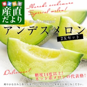 茨城県産 JA茨城旭村 アンデスメロン 秀品 2玉入り (合計約2キロ) 2Lサイズ 送料無料 青肉 めろん メロン