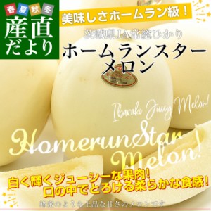 茨城県産 JA常総ひかり ホームランスターメロン Lから3Lサイズ 優品以上 約5キロ(4玉から6玉) 送料無料 メロン めろん 市場発送