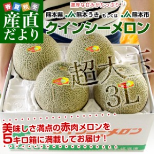 熊本県産 JA熊本うき又はJA熊本市 クインシーメロン 超大玉 3Lサイズ 秀品 5キロ箱 (4玉入) 送料無料 赤肉 めろん メロン