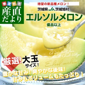 茨城県産 JA茨城旭村 エルソルメロン 優品以上 大玉 4Lから3Lサイズ 約5キロ （3玉から4玉） 送料無料 メロン めろん 青肉メロン