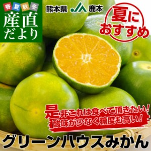 送料無料 熊本県より産地直送 JA鹿本 グリーンハウスみかん Mサイズ 約2.5キロ（25玉前後）化粧箱入り ミカン 蜜柑